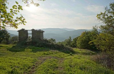 Ferme à vendre 06019 Preggio, Ombrie:  Vue