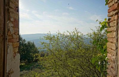 Ferme à vendre 06019 Preggio, Ombrie:  Vue