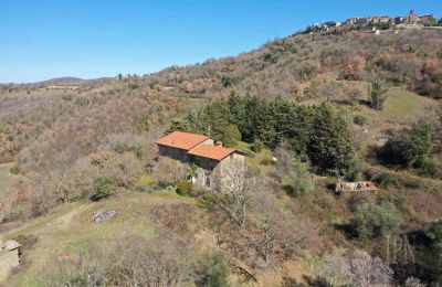 Ferme à vendre 06019 Preggio, Ombrie:  