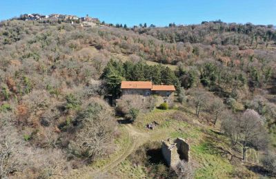 Ferme à vendre 06019 Preggio, Ombrie:  