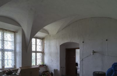 Kasteel te koop Pisarzowice, Opole, Foto 9/17
