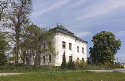 Kasteel Pisarzowice, Opole
