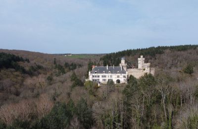 Kasteel te koop Veauce, Auvergne-Rhône-Alpes, Omgeving van het pand