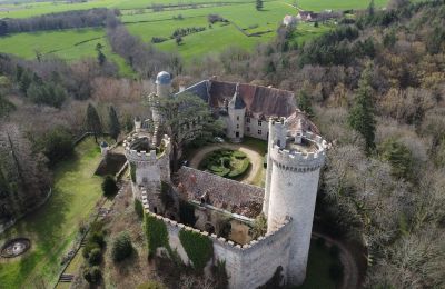 Château à vendre Veauce, Auvergne-Rhône-Alpes:  