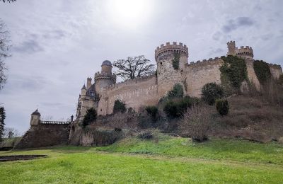Kasteel te koop Veauce, Auvergne-Rhône-Alpes, Foto 3/10