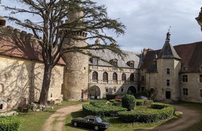 Kasteel te koop Veauce, Auvergne-Rhône-Alpes, Foto 4/10