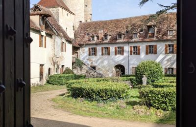 Kasteel te koop Veauce, Auvergne-Rhône-Alpes, Foto 6/10