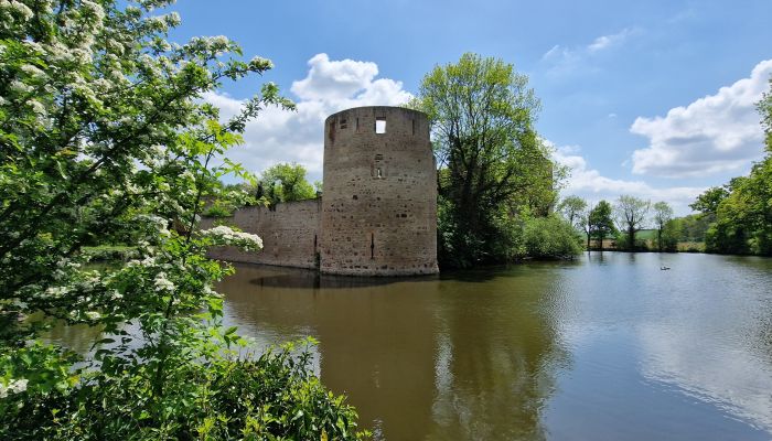 Château médiéval Wißkirchen 4