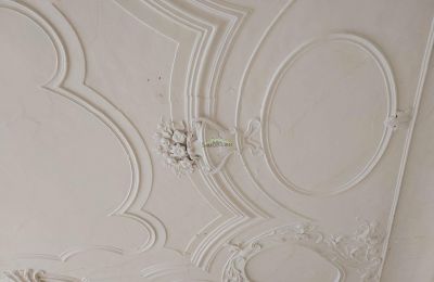 Château à vendre 04600 Altenburg, Thuringe,, Décoration en stuc