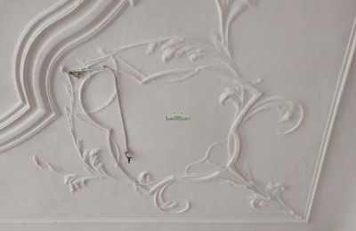 Château à vendre 04600 Altenburg, Thuringe,, Décoration en stuc