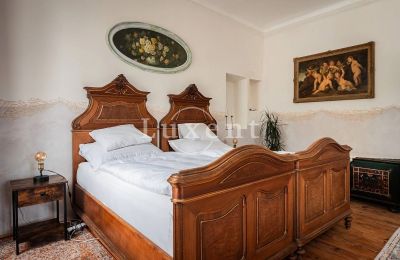 Kasteel te koop České Budějovice, Jihočeský kraj, Foto 16/45