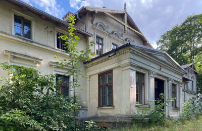 Château à vendre Stradzewo, Pałac w Stradzewie, Poméranie occidentale:  Entrée