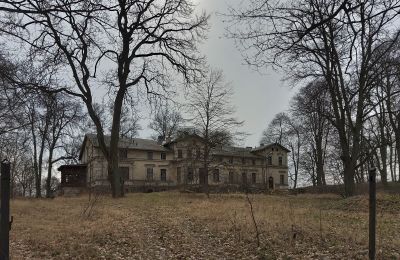 Château à vendre Stradzewo, Pałac w Stradzewie, Poméranie occidentale:  