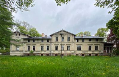 Château à vendre Stradzewo, Pałac w Stradzewie, Poméranie occidentale:  Vue frontale