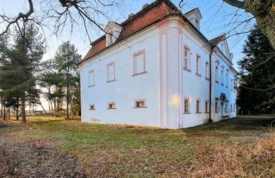 Château à vendre Opava, Moravskoslezský kraj:  Vue latérale