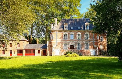 Château à vendre Île-de-France:  Vue frontale