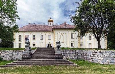 Château Szombathely, Comitat de Vas