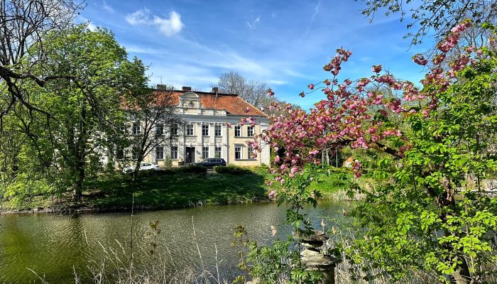 Kasteel te koop Gola, Groot-Polen