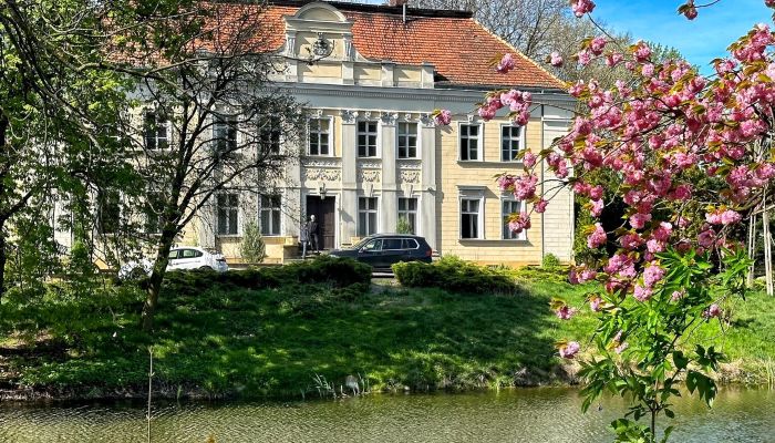 Château à vendre Gola, Grande-Pologne,  Pologne