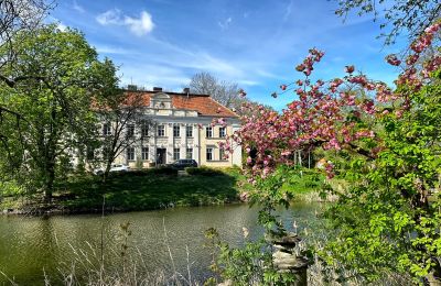 Kasteel te koop Gola, Groot-Polen, Foto 2/42