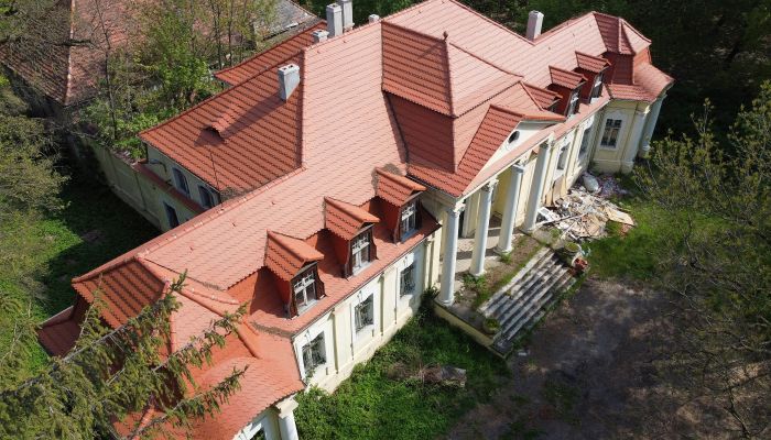 Kasteel te koop Skoraszewice, Groot-Polen,  Polen
