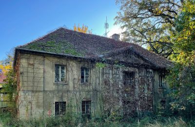 Château à vendre Skoraszewice, Skoraszewice  16, Grande-Pologne:  