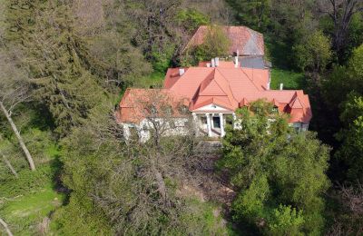 Kasteel te koop Skoraszewice, Skoraszewice  16, Groot-Polen, Dronefoto