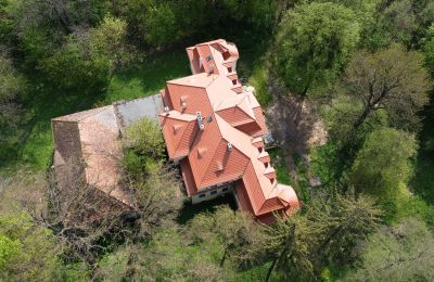 Château à vendre Skoraszewice, Skoraszewice  16, Grande-Pologne:  