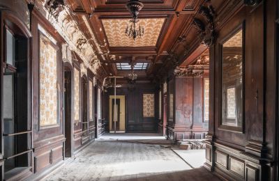 Kasteel te koop Bożków, Palac Wilelma von Magnis 1, Neder-Silezië, Foto 7/10