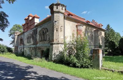 Château à vendre Karlovarský kraj:  Vue arrière