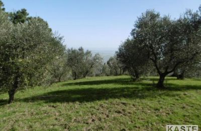 Landelijk huis te koop Rivalto, Toscane, Foto 8/15