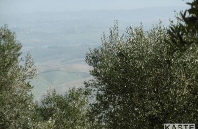 Landelijk huis te koop Rivalto, Toscane, Foto 10/15