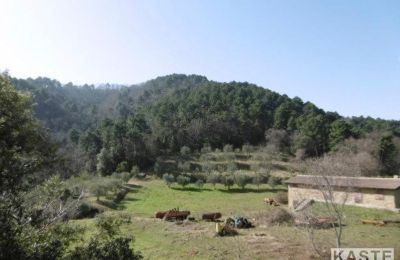 Landelijk huis te koop Rivalto, Toscane, Foto 12/15