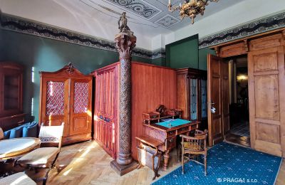 Château à vendre Jihočeský kraj:  