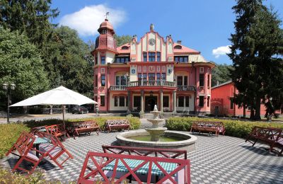 Château à vendre Jihočeský kraj:  Vue frontale