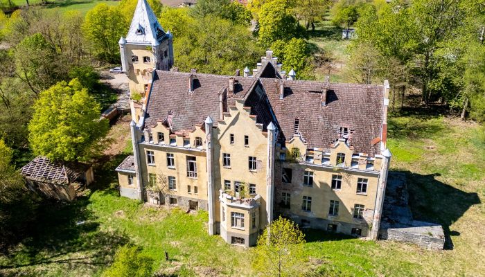 Château à vendre Dobrowo, Poméranie occidentale,  Pologne