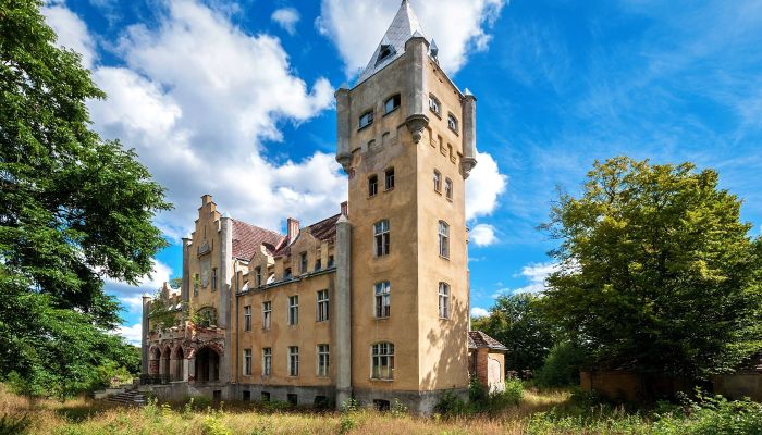Château à vendre Dobrowo, Poméranie occidentale,  Pologne