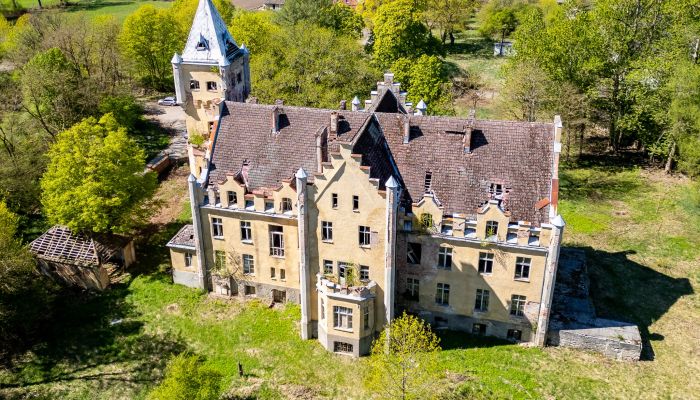 Château à vendre Dobrowo, Poméranie occidentale,  Pologne