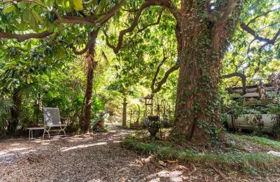 Villa historique à vendre Verbano-Cusio-Ossola, Pallanza, Piémont:  Jardin
