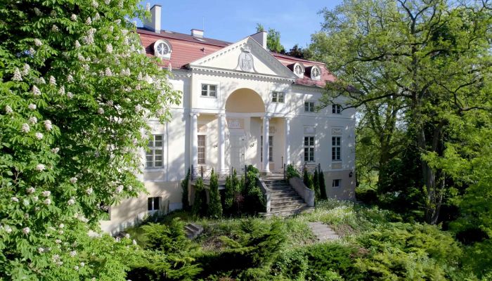 Château à vendre Samotwór, Basse-Silésie,  Pologne