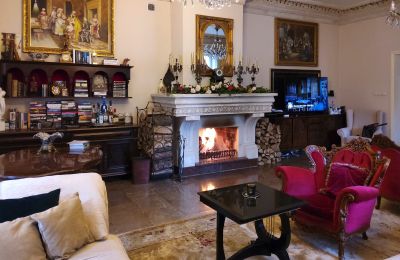 Manoir à vendre Zarębów, Dwór w Zarębowie, Łódź, Image 6/22