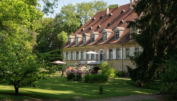 Château Sulzfeld 2