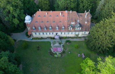 Château à vendre Bade-Wurtemberg:  Vogelperspektive