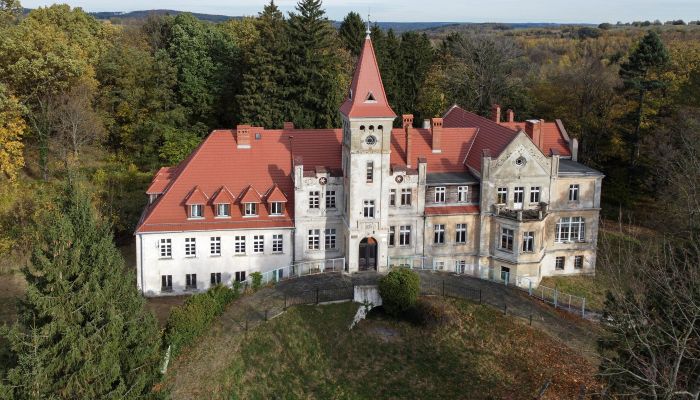 Château Grabiszyce Średnie, Basse-Silésie