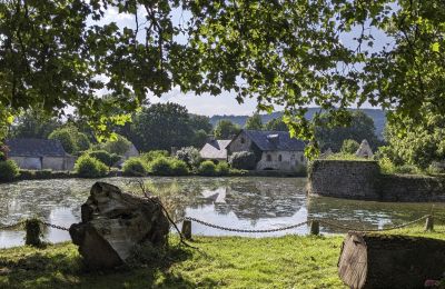 Château à vendre Le Mans, Pays de la Loire:  