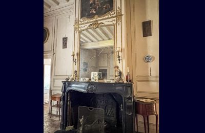 Château à vendre Le Mans, Pays de la Loire:  Cheminée