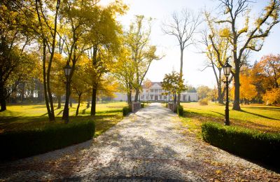 Landhuis te koop Zborów, Kownackiej 33, Groot-Polen, Toegang