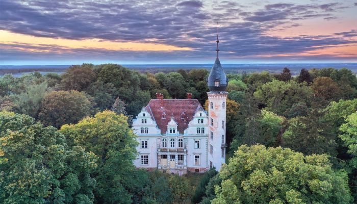 Château à vendre Kruszewo, Grande-Pologne,  Pologne