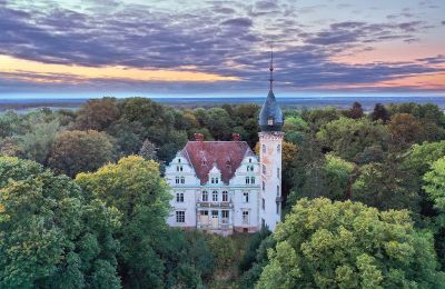 Château à vendre Kruszewo, Parkowa 4, Grande-Pologne:  Vue extérieure