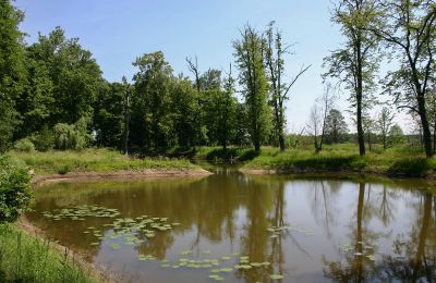 Château à vendre Radoszewnica, Silésie:  